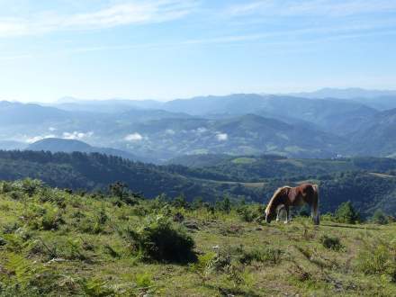 Nature Pays Basque