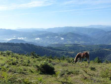Tourisme Pays Basque · Vacances proche de Biarritz · Villa Maitia